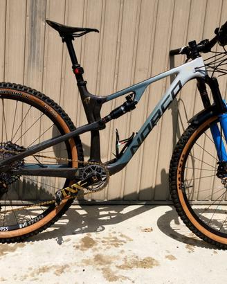 mountain bike mtb Carbonio 