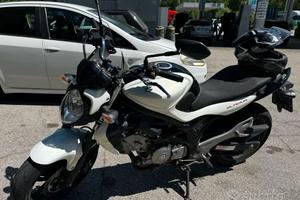 Suzuki gladius 650