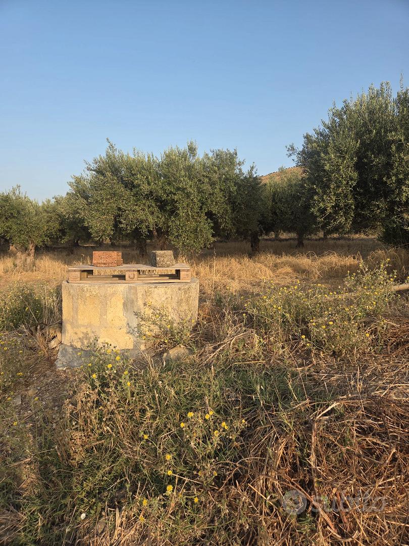 terreno agricolo - Vista 5