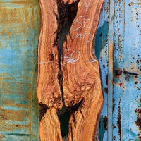 Asse di ulivo Salentino denominata (5)