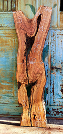 Asse di ulivo Salentino denominata (5)