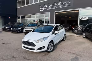 Ford Fiesta 1.0 Neopatentati