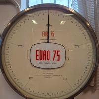 bilancia 175kg professionale