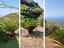 Immagine 22