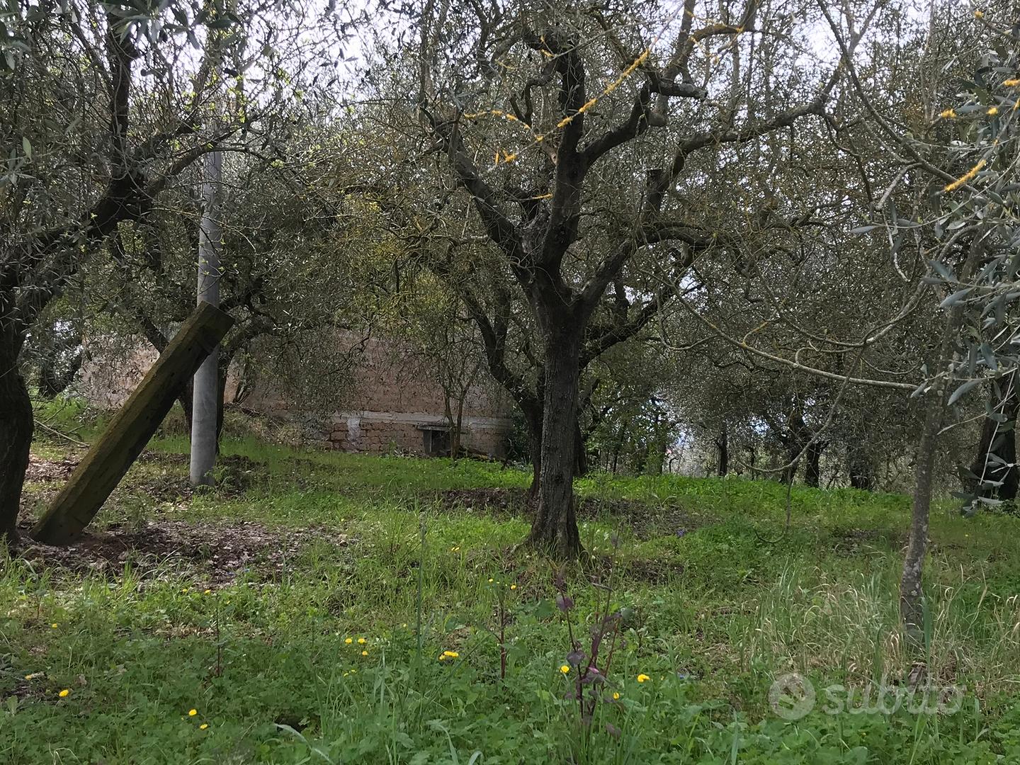 Terreno con Rustico - Vista 5