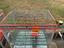 Immagine 4