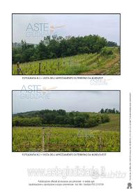 Terreno Agricolo San Paolo Solbrito [A4351539]