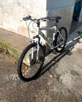 MTB Cup’s da 26”