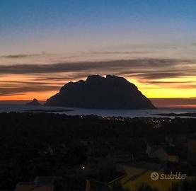 Splendido appartamento vacanze a Porto San Paolo