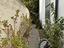 Immagine 19