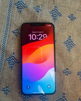 iphone 12 pro max 256 gb