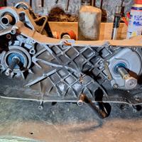 carter minarelli orizzontale 