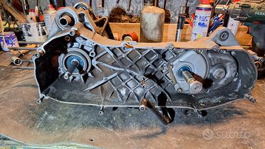 carter minarelli orizzontale 