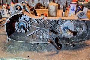 carter minarelli orizzontale 