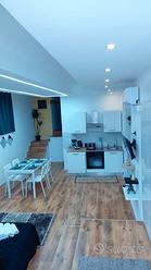 Monolocale corso Francia , stadio olimpico