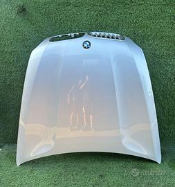COFANO ANTERIORE BMW X5 Serie (E70) 41617486754 (0