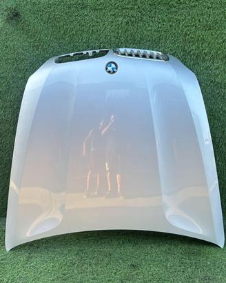 COFANO ANTERIORE BMW X5 Serie (E70) 41617486754 (0
