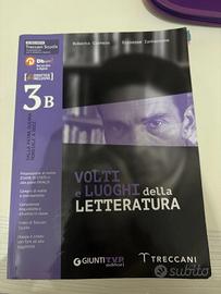 Libro: volti e luoghi Letteratura italiana