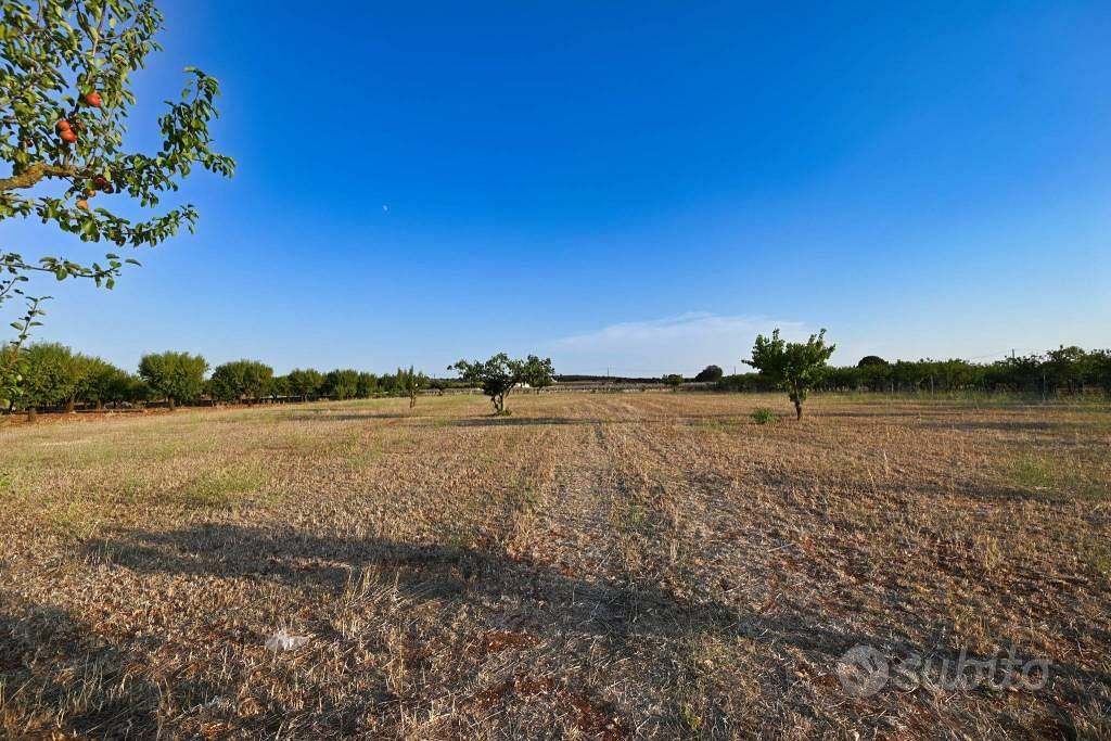 Terreno di 8800 m² a Putignano - Vista 2