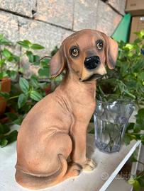 Statua cane a salvadanaio