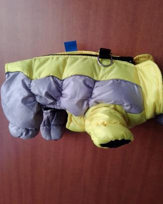 Cappottini, maglioncino, spazzola ad aria e scarpe