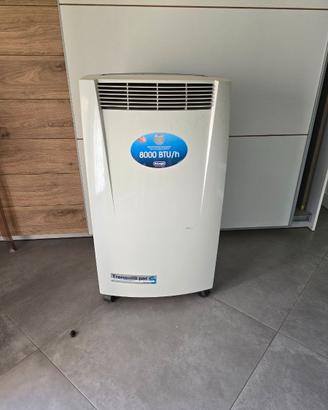 Pinguino DeLonghi 8000 btu/h