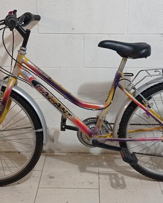 Bicicletta MTB 24