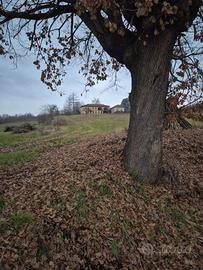 Ampi SPAZI e un po' di TERRA