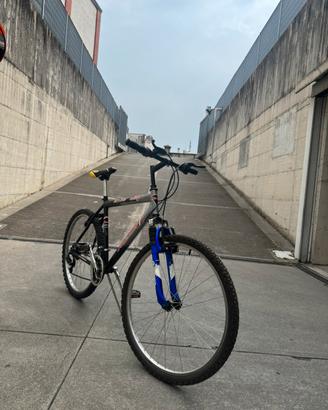 Bici mountain bike