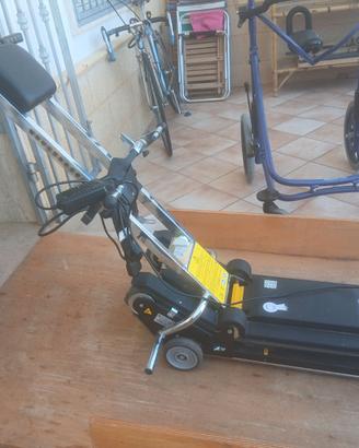 Montascale mobile a cingoli