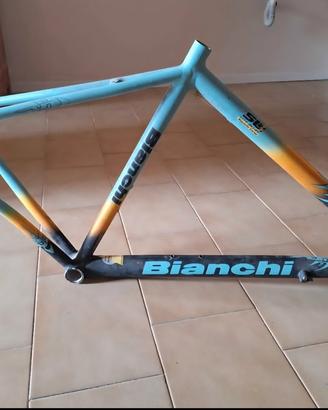 telaio bicicletta Bianchi
