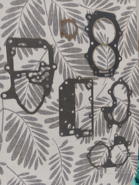 Kit Guarnizioni Evinrude/Johnson 521 25Cv