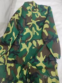 vestito di carnevale 