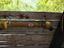 Immagine 6