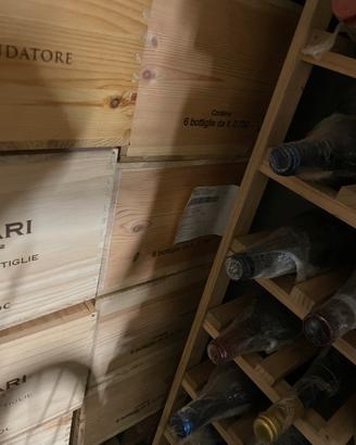 Sassicaia 2017 e altre annate