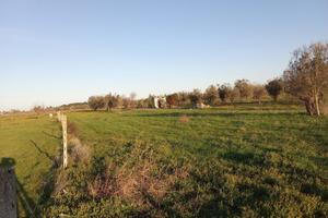 Terreno agricolo Salice Salentino - Lecce (LE)
