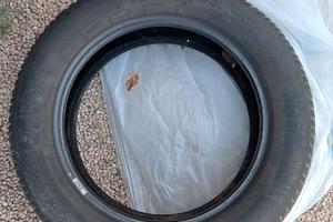 Gomme invernali 215 60 R17