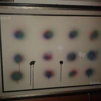 Ennio Finzi autenticato