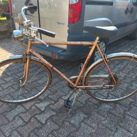 bici da uomo "Cosmos"