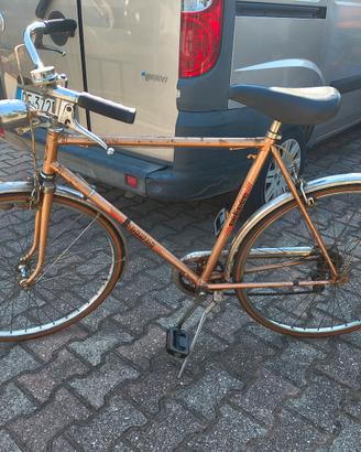 bici da uomo "Cosmos"