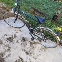 city bike Frejus Storm da uomo