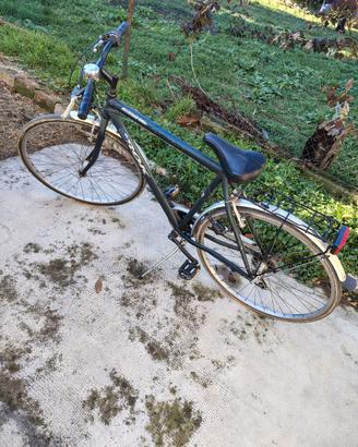 city bike Frejus Storm da uomo