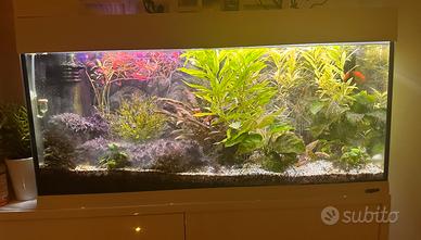 Acquario dubai 100 ferplast