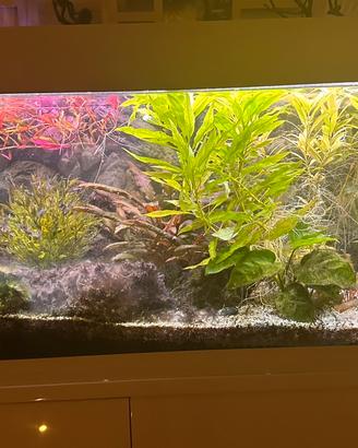 Acquario dubai 100 ferplast