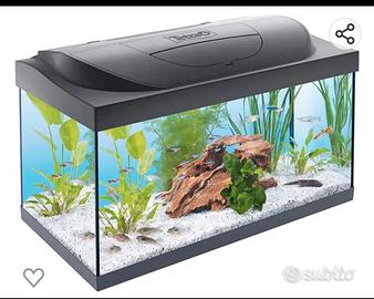 acquario
