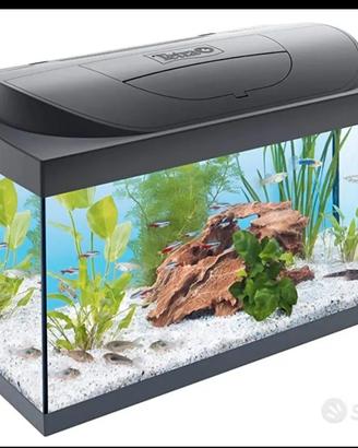 acquario
