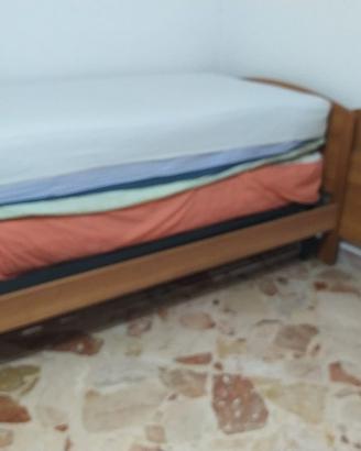 Lettini