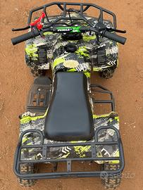 Mini Quad 50 2T