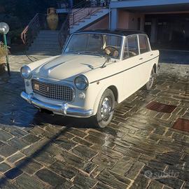 Fiat 1100 special 103