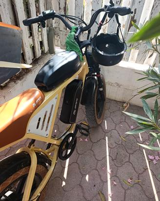 bicicletta eletrrica 